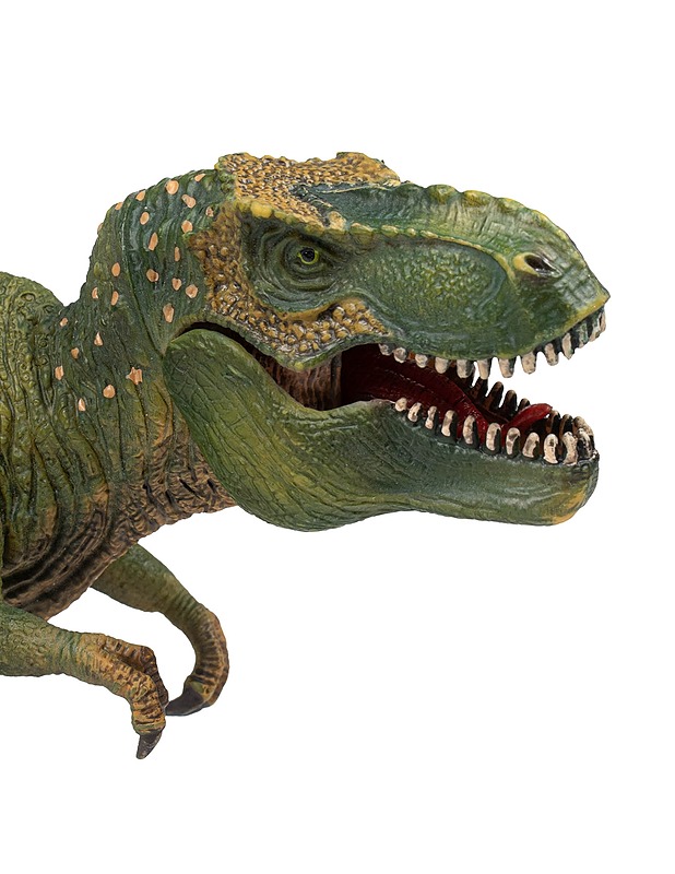 SCHLEICH Tyrannosaurus Rex figuuri - Lasten lelut - 10105484628 - 2