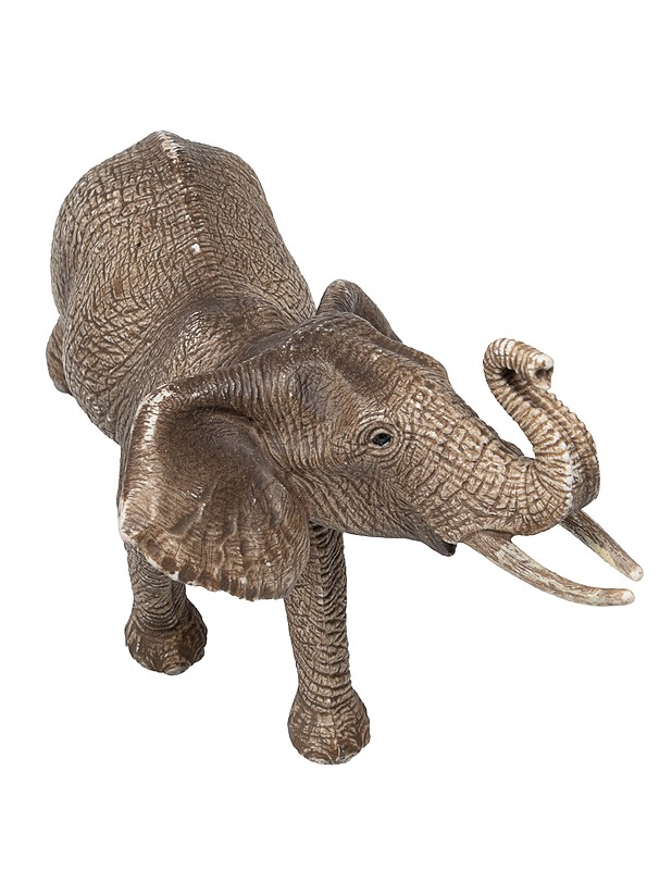 SCHLEICH Afrikannorsu - Lasten lelut - 10105484637 - 0