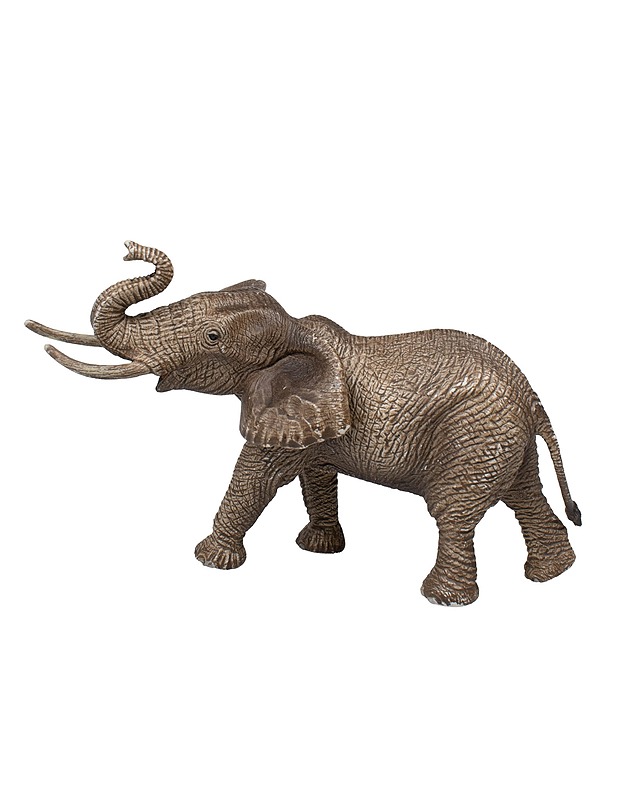 SCHLEICH Afrikannorsu - Lasten lelut - 10105484637 - 1