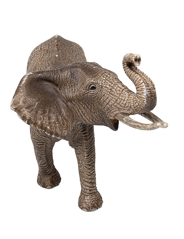 SCHLEICH Afrikannorsu - Lasten lelut - 10105484637 - 2