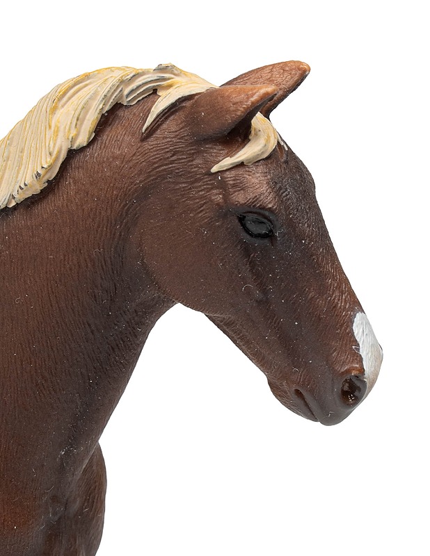 SCHLEICH Trakehnenin hevonen - Lasten lelut - 10105484652 - 2