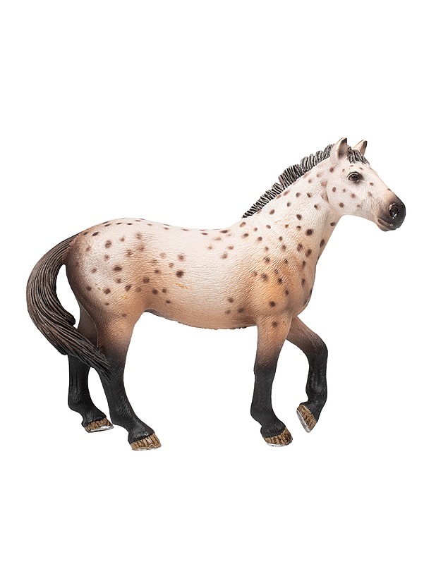 SCHLEICH Knabstrupinhevonen - Lasten lelut - 10105484655 - 0