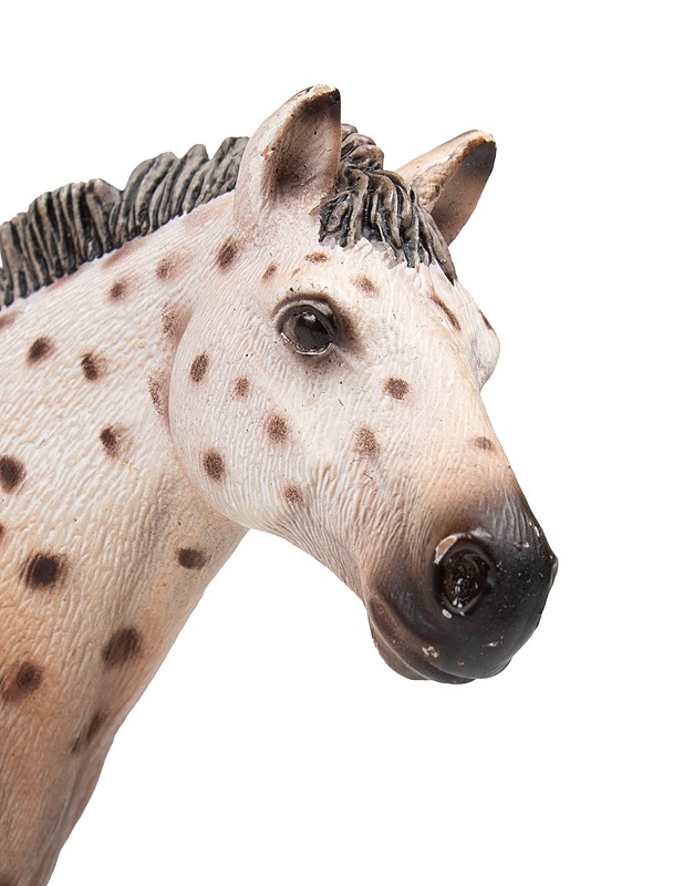 SCHLEICH Knabstrupinhevonen - Lasten lelut - 10105484655 - 2