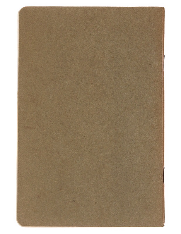 Aunuksen asemiesten lauluja - Viljo Marttila - Musiikki- ja elokuvakirjat - 10105484739 - 1