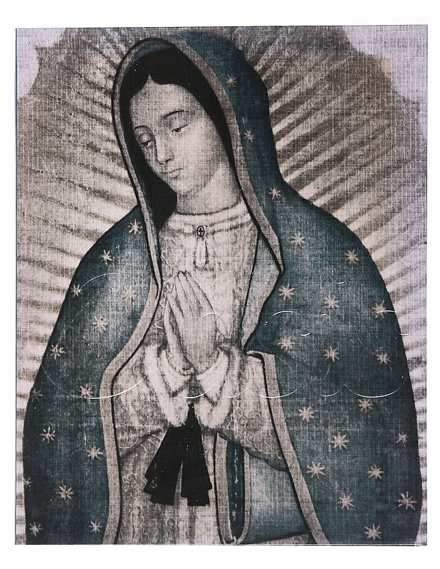 Oasis - Meeri Koutaniemi - Taide- ja kulttuurikirjat - 10105485015 - 0