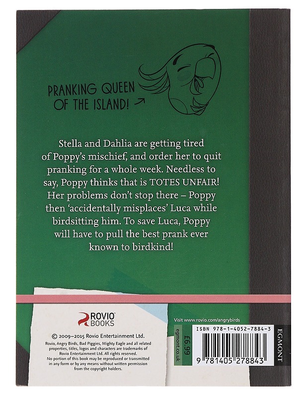 Angry Birds : Stella Diaries - Jojo Gillespie  - Nuorten kirjat - 10105485238 - 1