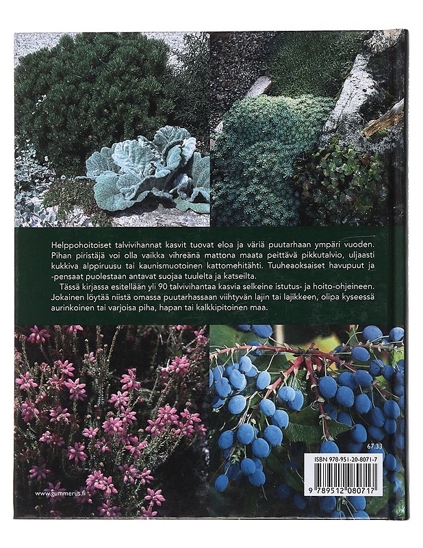 Ikivihreät puutarhakasvit - Westerstål, Ulla-Märta - Tietokirjat ja oppaat - 10105485249 - 1