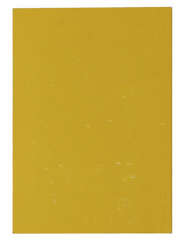 Henkiopas puhuu Silver Birchin viisautta - Helmi Krohn, Tuulikki Ritama - Tietokirjat ja oppaat - 10105486107 - 1