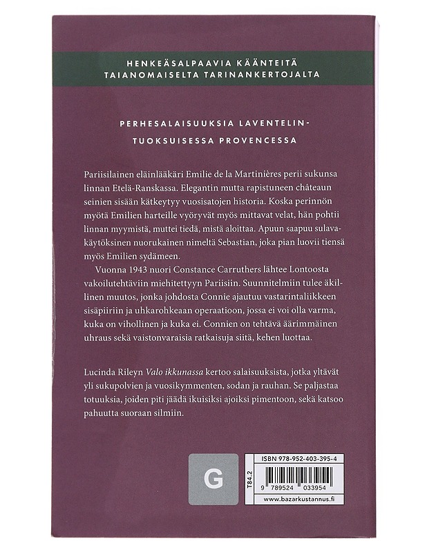 Valo ikkunassa - Riley, Lucinda - Romaanit ja novellit - 10105486747 - 1