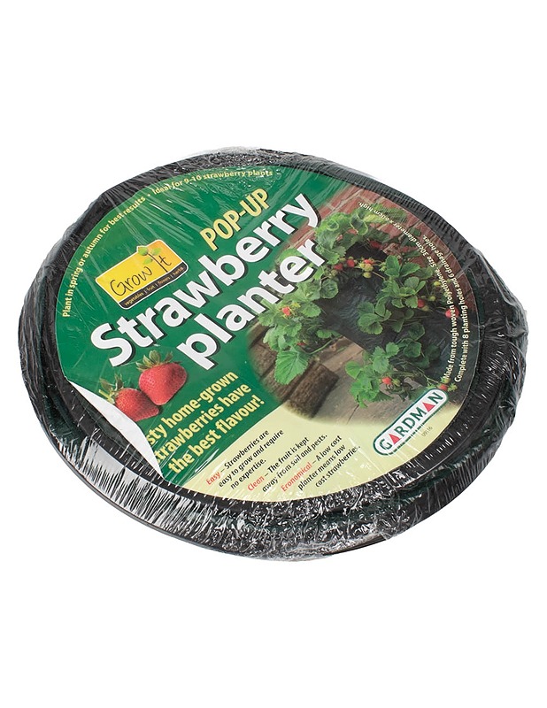 GROWIT mansikanistuttaja - Muut urheiluvälineet ja vapaa-aika - 10105487569 - 0