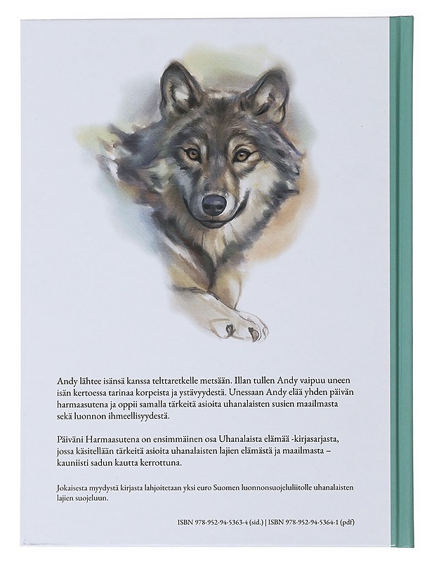 Päiväni harmaasutena - Matero, Janika - Lastenkirjat - 10105487994 - 1