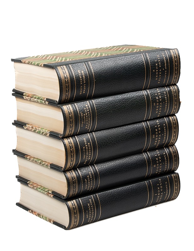 Vilda växter i Norden - Lagerberg, T. - Tietokirjat ja oppaat - 10105488455 - 1