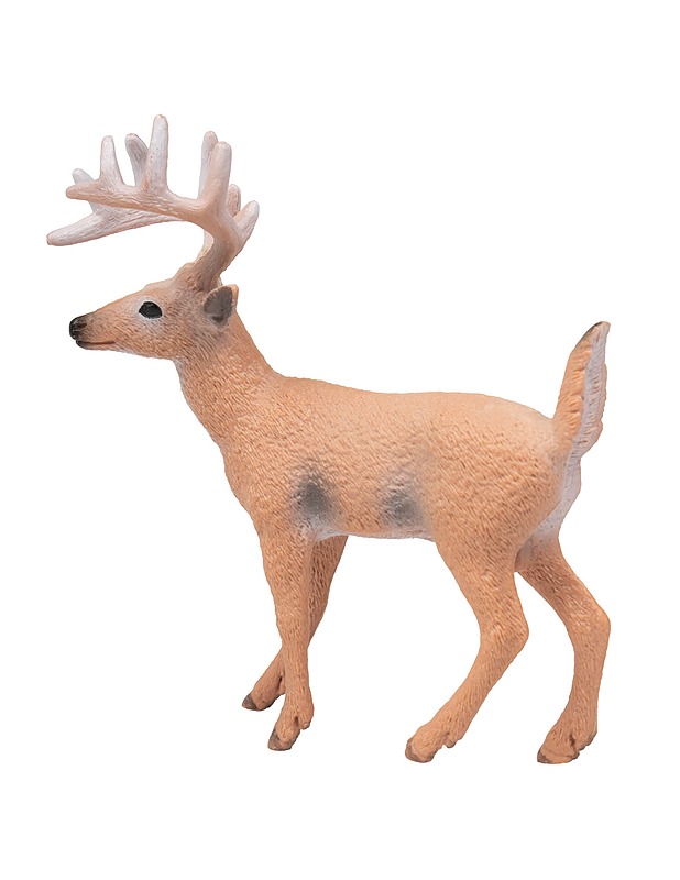 SCHLEICH Valkohäntäpeura figuuri - 14709 - Lasten lelut - 10105488504 - 0