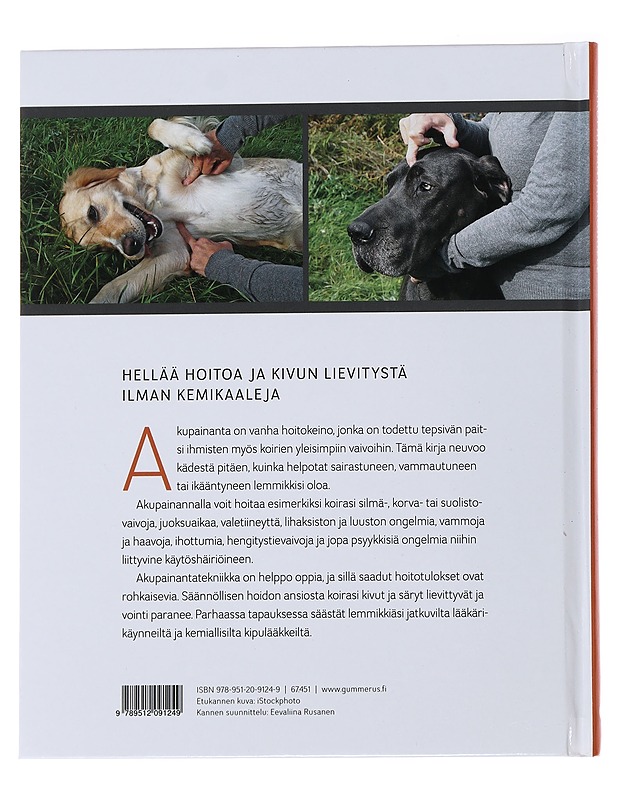 Akupainantaa koirille - Lundin, Anna - Tietokirjat ja oppaat - 10105488565 - 1