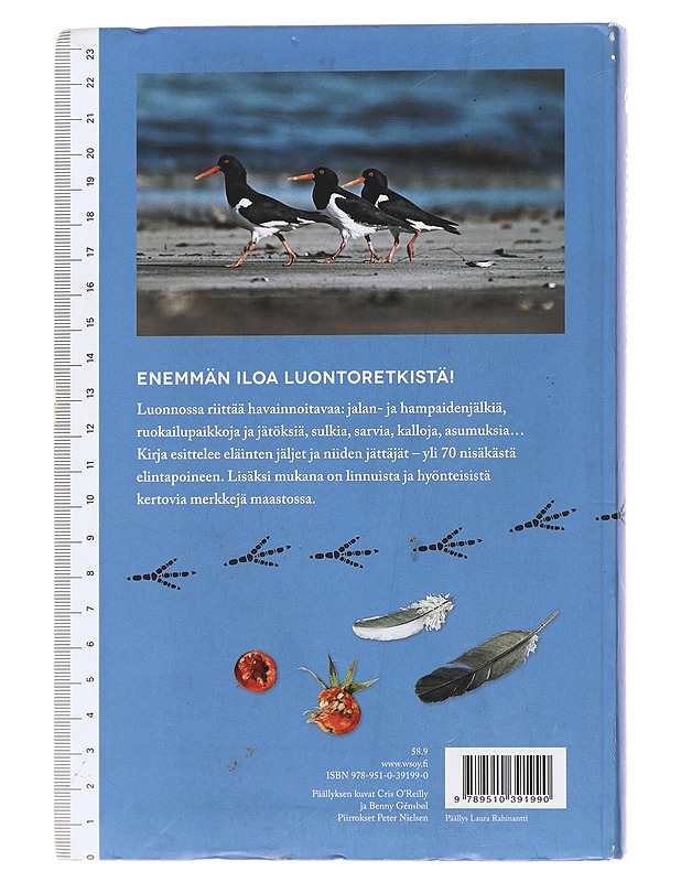 Mikä eläin? : eläinten jäljet ja elintavat - Olsen, Lars-Henrik - Lemmikki- ja luontokirjat - 10105488985 - 1