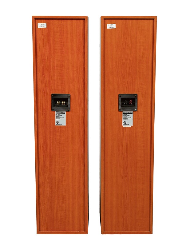 US BLASTER USB 4009 lattiakaiutinpari - Audio - 10105489012 - 1