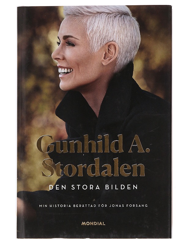 Den stora bilden - Forsang, Jonas - Elämäkerrat ja muistelmat - 10105489067 - 0