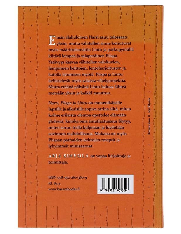 Narri, Piispa ja Lintu : tarina monenikäisille ilosta, surusta ja ystävyydestä - Sihvola, Arja - Romaanit ja novellit - 10105489098 - 1