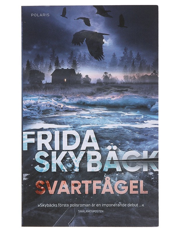 Svartfågel - Frida Skybäck - Romaanit ja novellit - 10105489445 - 0