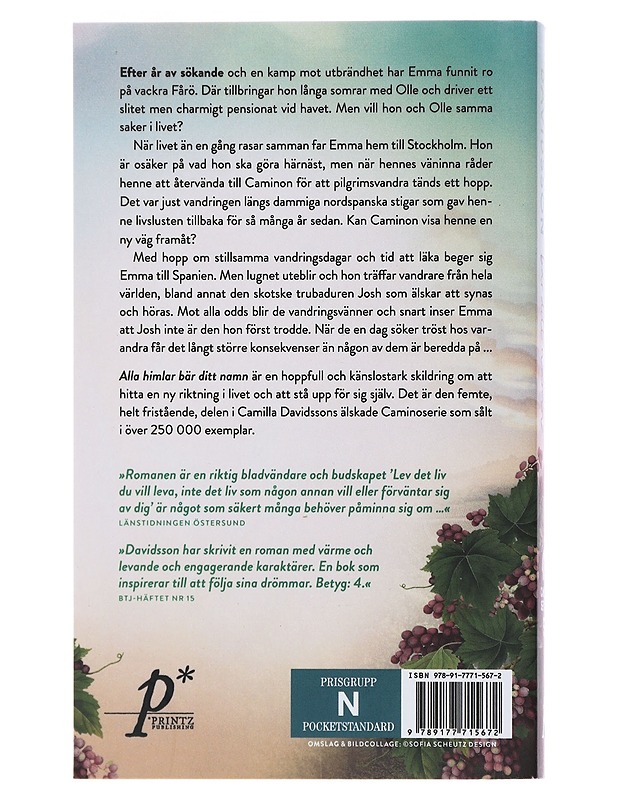 Alla himlar bär ditt namn : roman - Camilla Davidsson - Romaanit ja novellit - 10105489582 - 1