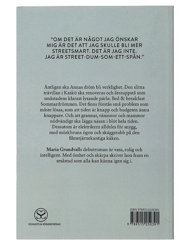 Sommardrömmen - Maria Grundvall - Romaanit ja novellit - 10105489639 - 1
