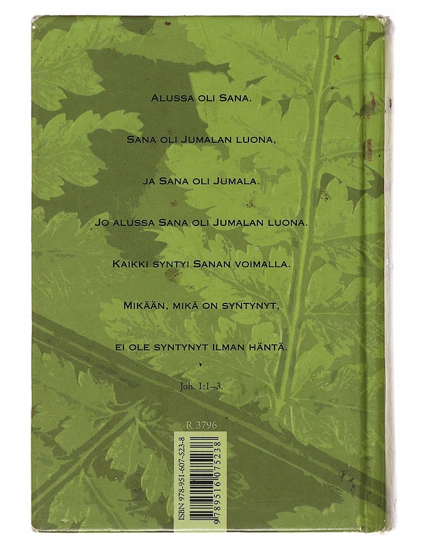 Pyhä Raamattu - Harrastekirjat - 10105489750 - 1