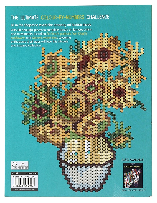 Colour Quest®: Amazing Art - Harrastekirjat - 10105489817 - 1