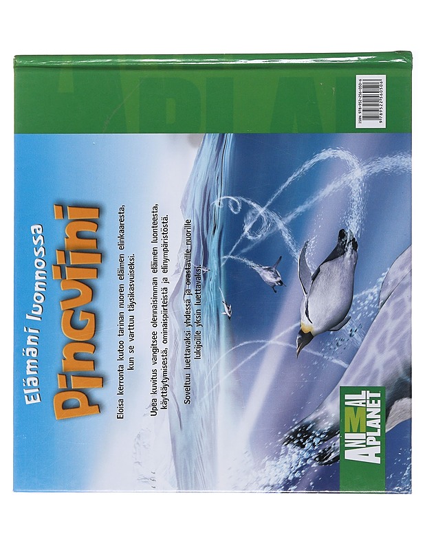 Pingviini - Costain, Meredith - Tietokirjat ja oppaat - 10105490080 - 1