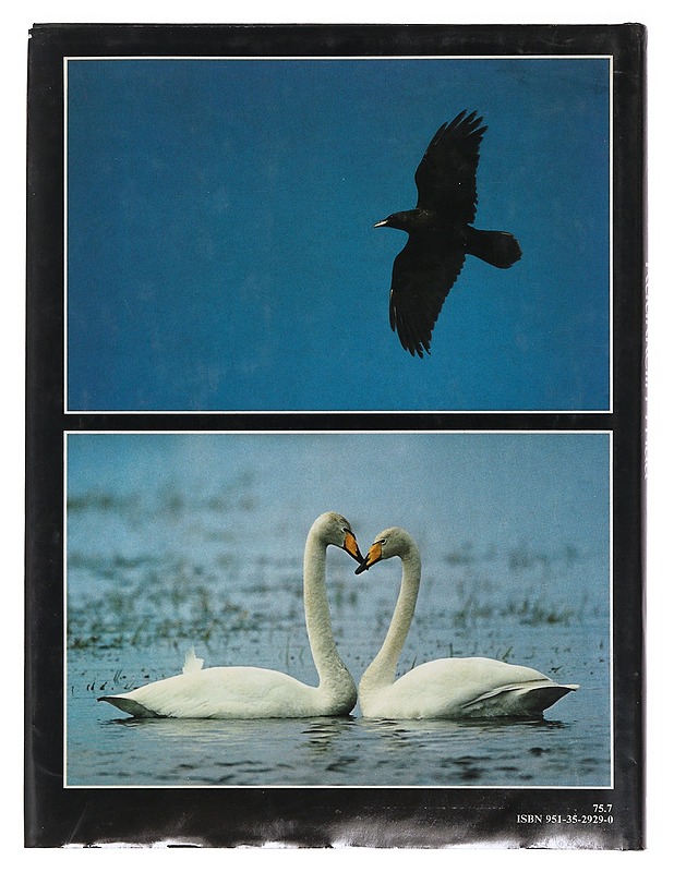 Kuukkelin maa - Luontokuvaajan vuosi Kuusamossa - Hautala, Hannu - Taide- ja kulttuurikirjat - 10105490390 - 1