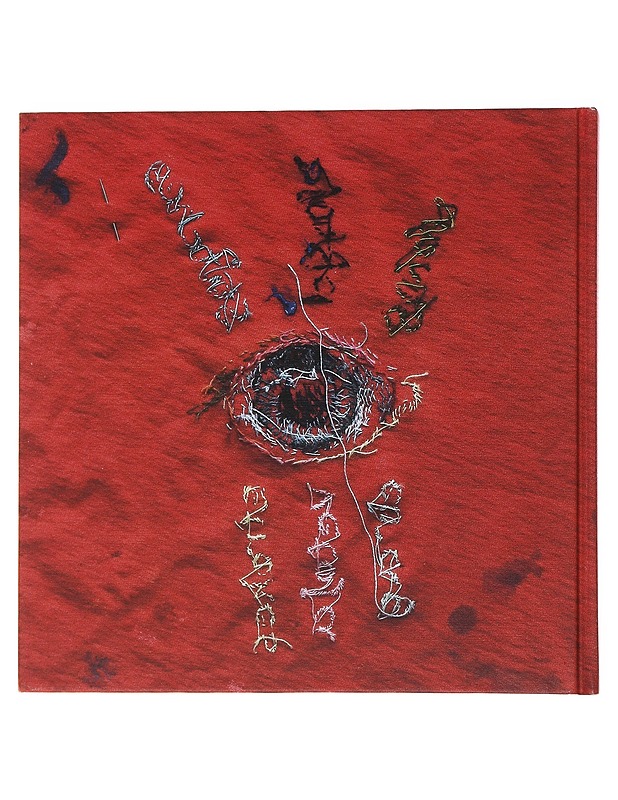 Pauliina Turakka Purhonen : pistoja & vetoja - Martin, Kaj - Taide- ja kulttuurikirjat - 10105490550 - 1