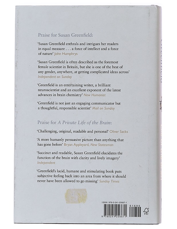 A Day in the Life of the Brain - Greenfield, Susan - Tietokirjat ja oppaat - 10105490913 - 1