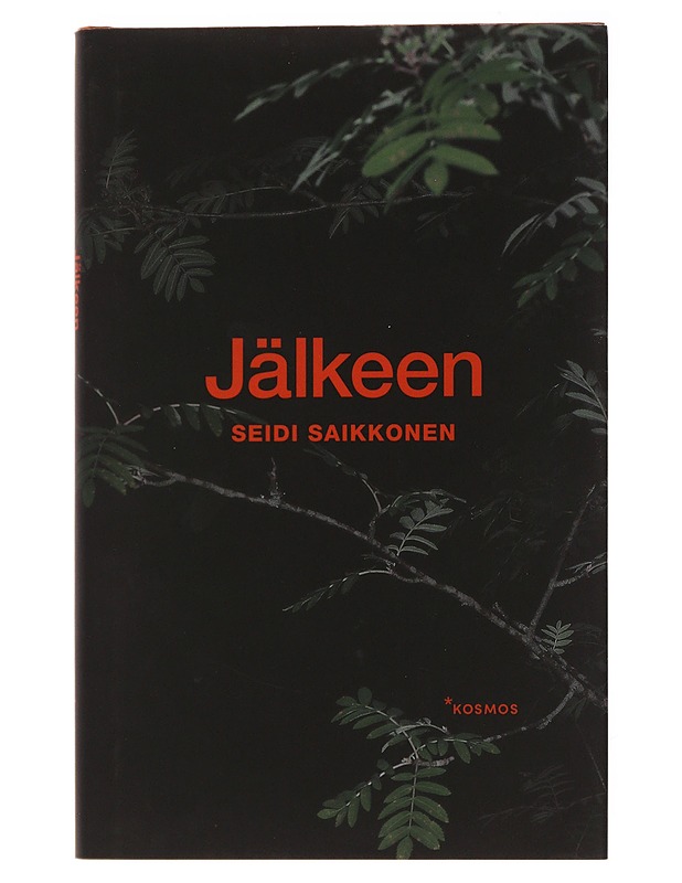 Jälkeen - Seidi Saikkonen - Romaanit ja novellit - 10105491280 - 0