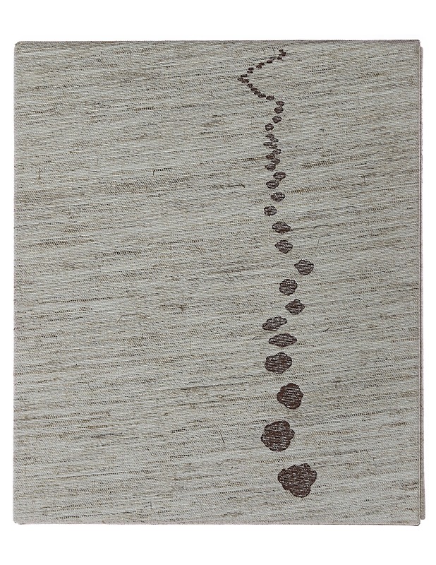 Uhanalaiset - Ilkka Koivisto - Lemmikki- ja luontokirjat - 10105491342 - 0