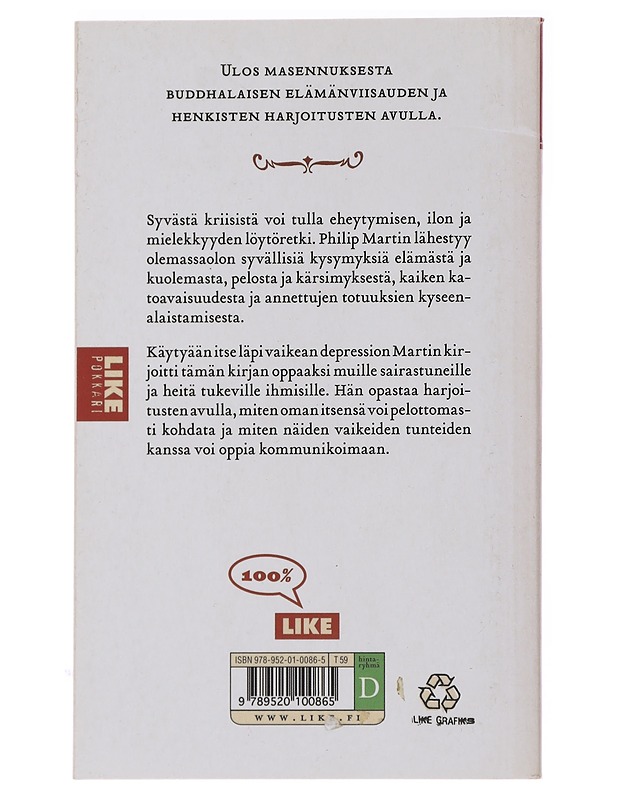 Zen - tie depression läpi - Martin, Philip - Tietokirjat ja oppaat - 10105491383 - 1