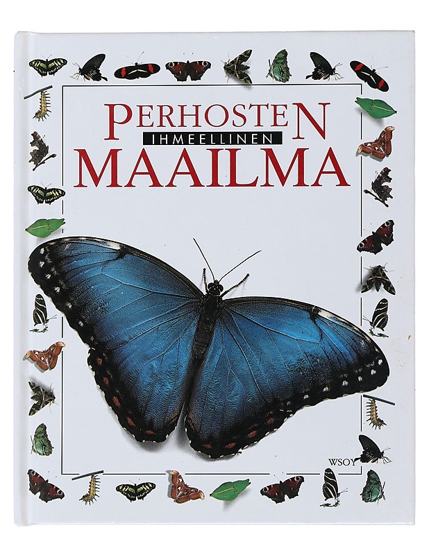 Perhosten ihmeellinen maailma - Still, John - Tietokirjat ja oppaat - 10105491539 - 0