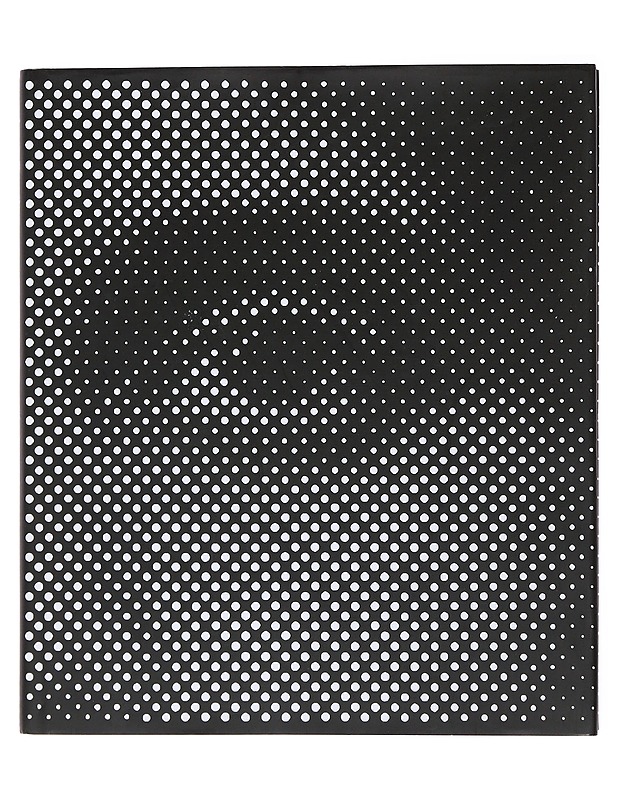 Anne-Karin Furunes : dialogue with light - Haapala, Leevi - Tietokirjat ja oppaat - 10105491603 - 0