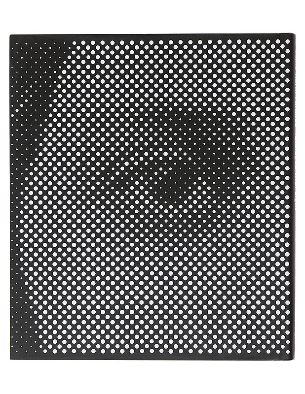 Anne-Karin Furunes : dialogue with light - Haapala, Leevi - Tietokirjat ja oppaat - 10105491603 - 1