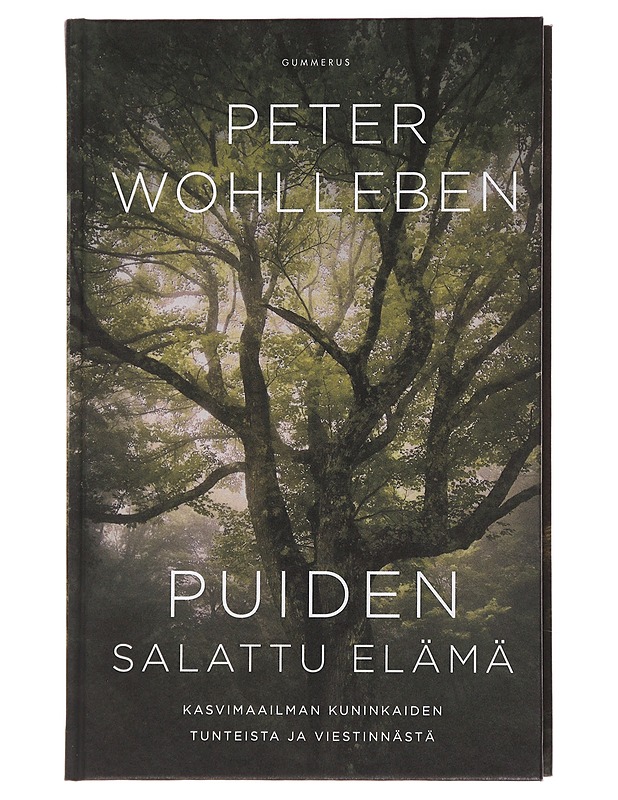 Puiden salattu elämä : kasvimaailman kuninkaiden tunteista ja viestinnästä - Wohlleben, Peter - Tietokirjat ja oppaat - 10105491980 - 0