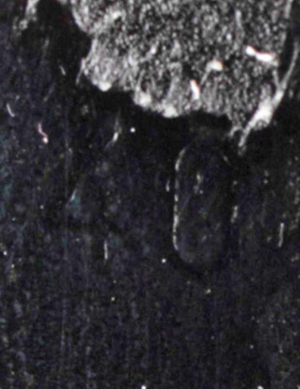 DARIS saappaat, 40 - Naisten nilkkurit ja saappaat - 10105492027 - 2