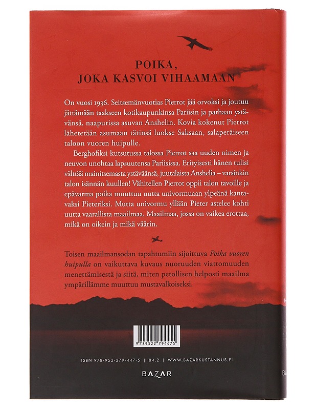 Poika vuoren huipulla - Boyne, John - Nuorten kirjat - 10105493143 - 1