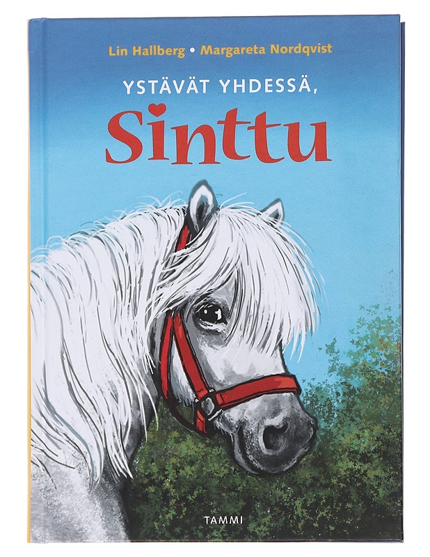 Ystävät yhdessä, Sinttu - Hallberg, Lin - Lastenkirjat - 10105493364 - 0