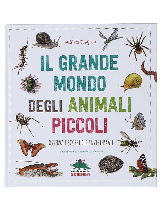 Il grande mondo degli animali piccoli: osserva scopri gli invertebrati - nathalie Jordiman - Lemmikki- ja luontokirjat - 10105493591 - 0