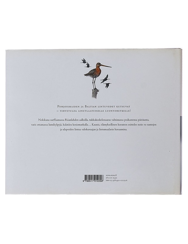 Lintuvesien äärellä : maalauksia ja valokuvia - Kostet, Jari - Taide- ja kulttuurikirjat - 10105493630 - 1