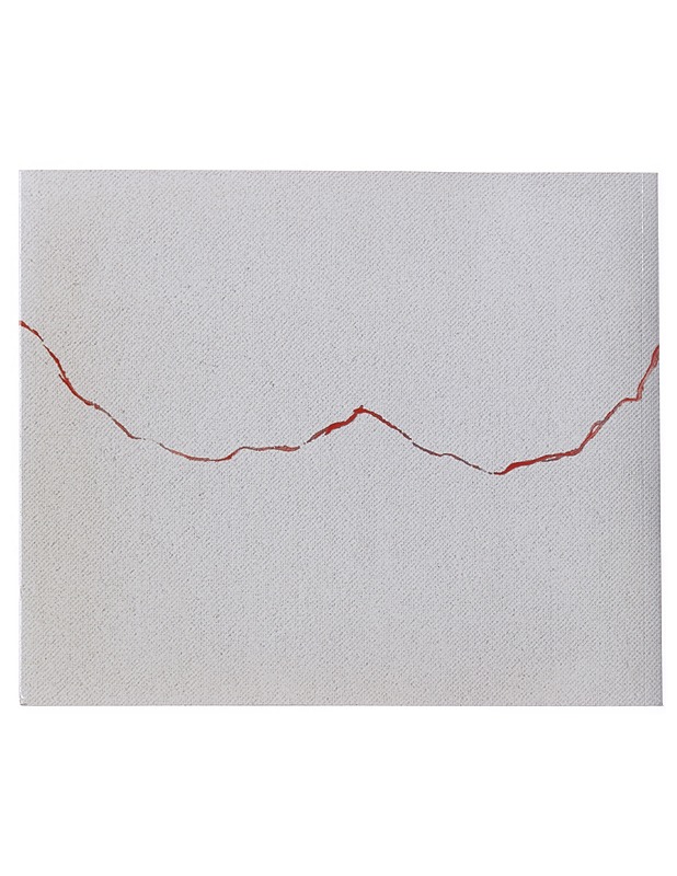 Tiina Elina Nurminen : maalauksia-paintings 2007-2009 - Taide- ja kulttuurikirjat - 10105494298 - 1