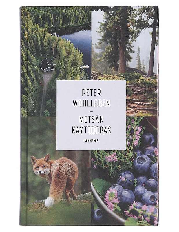 Metsän käyttöopas - Wohlleben, Peter - Tietokirjat ja oppaat - 10105494323 - 0