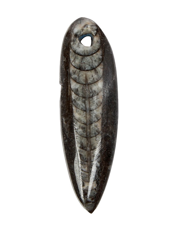 Fossiiliamuletti - Askartelu - 10105494825 - 0