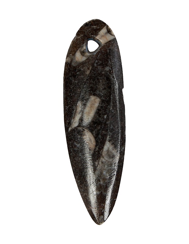 Fossiiliamuletti - Askartelu - 10105494825 - 1