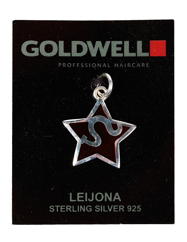 Hopeinen leijona-amuletti - Askartelu - 10105494840 - 0