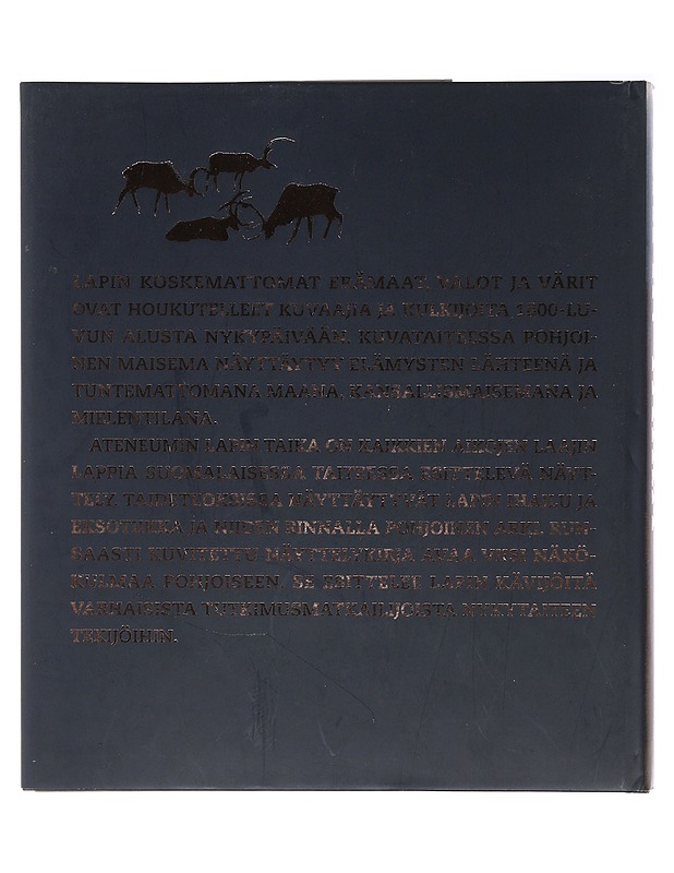 Lapin taika - Ojanperä, Riitta - Taide- ja kulttuurikirjat - 10105494967 - 1