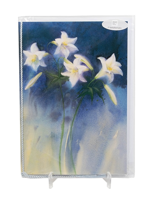 Adressi ja kirjekuori - Askartelu - 10105495700 - 0